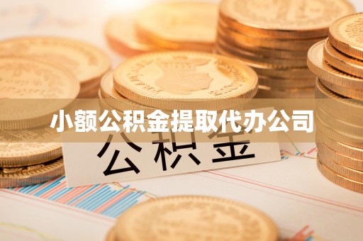 任县小额公积金提取代办公司